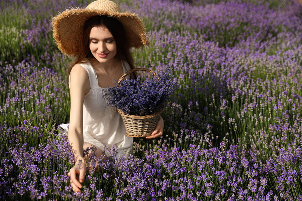 Young woman with wicker basket full of lavender flowers in field - Zdjęcie, obraz