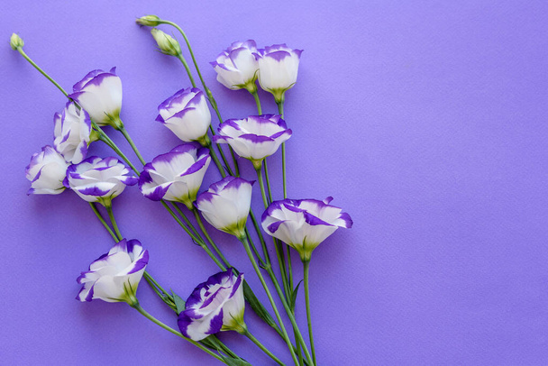 1トンの背景に、新鮮にカットされた美しい紫色のユーズヤの花束。美しい色の背景 - 写真・画像
