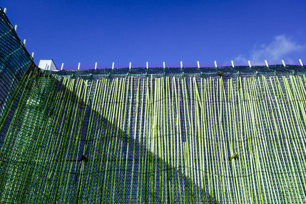 Una cerca con palos de bambú natural para proteger la privacidad de un patio. - Foto, imagen