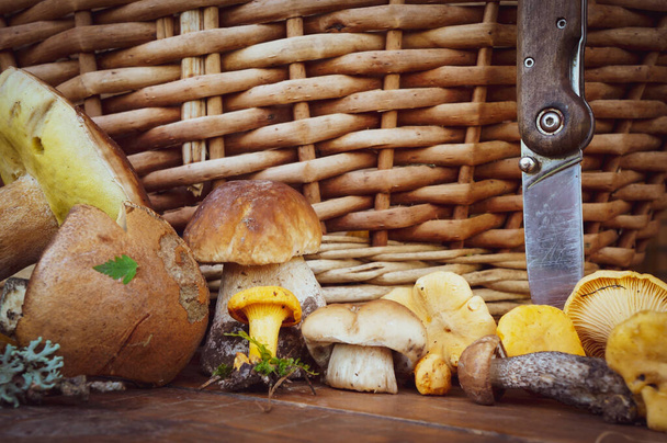 diferentes tipos de setas comestibles sobre una mesa de madera sobre el fondo de una canasta de mimbre - Foto, imagen