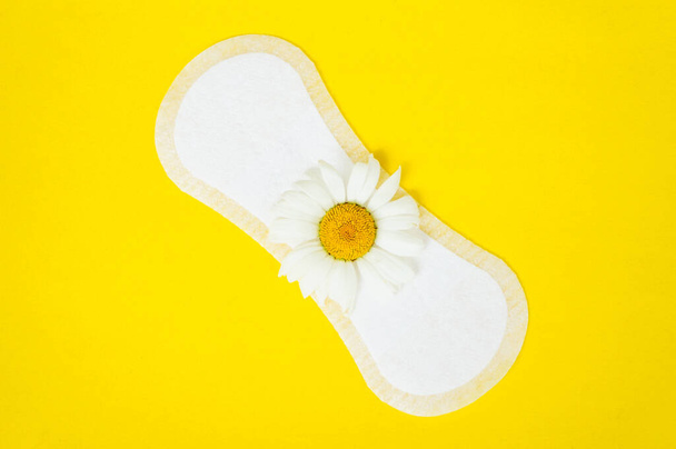 Ropa interior higiénica panty diaria y manzanilla en el espacio de copia de fondo amarillo - Foto, imagen