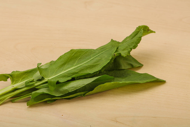 Aroma Fresh green sorrel herb heap - Photo, Image