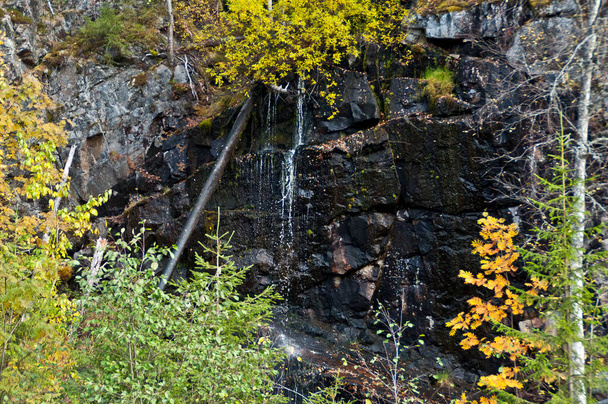 Piccola cascata d'acqua in un parco nazionale della Finlandia orientale - Foto, immagini