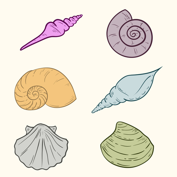 Cartoon shells - Vektori, kuva