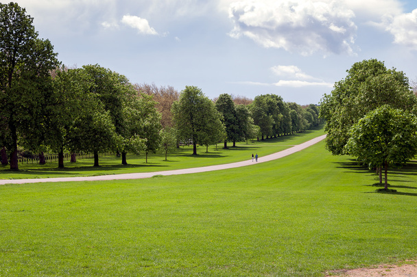 La longue marche au Grand parc Windsor
 - Photo, image