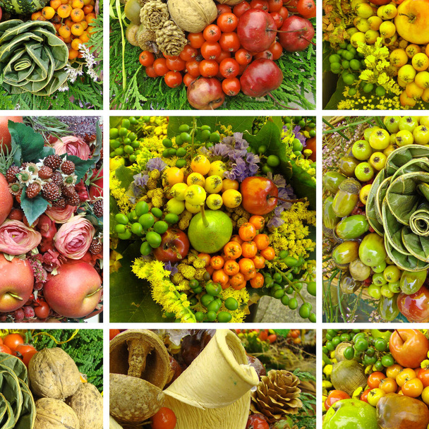 Négyzet alakú adag friss gyümölcs és zöldség - Fotó, kép