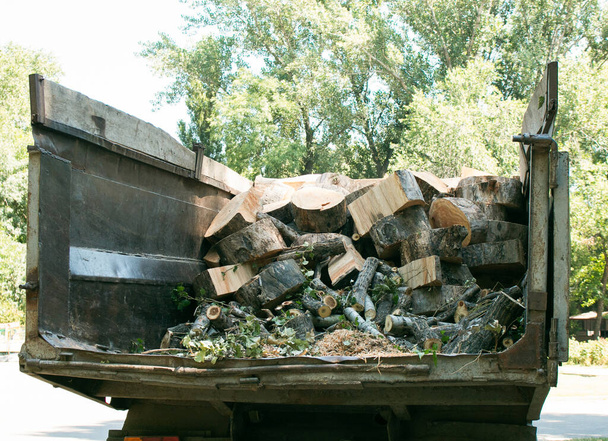 De vieux arbres dangereux sont enlevés dans les villes. Le processus de chargement des arbres sciés sur un camion. - Photo, image