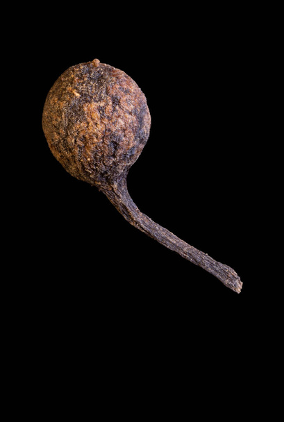  супер макрозйомка одного горохового бурбонного перцю з хвостом від мадагаскару ізольовано на чорному харчовому фоні. госпітальєри перець
 - Фото, зображення