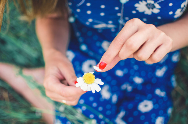 European girl holds a daisy flower and tears off the petals - Foto, imagen