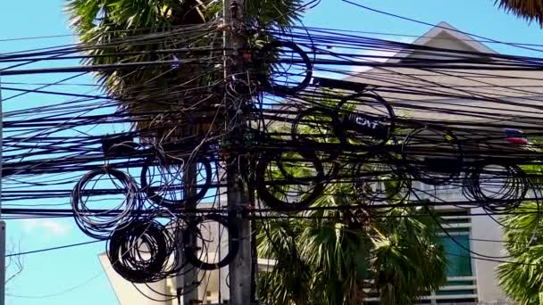 タイのプーケットで電気通信と電気柱に接続された厄介なウイルスの束. - 映像、動画