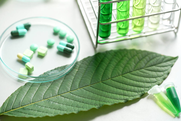 Mitragyna speciosa korth (kratom) drug plant with pills in the laboratory research. - Photo, Image