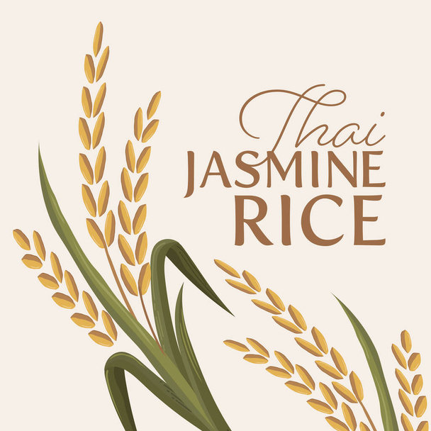 Paddy rice premium organik ürün logo taşıyıcı tasarımı - Vektör, Görsel