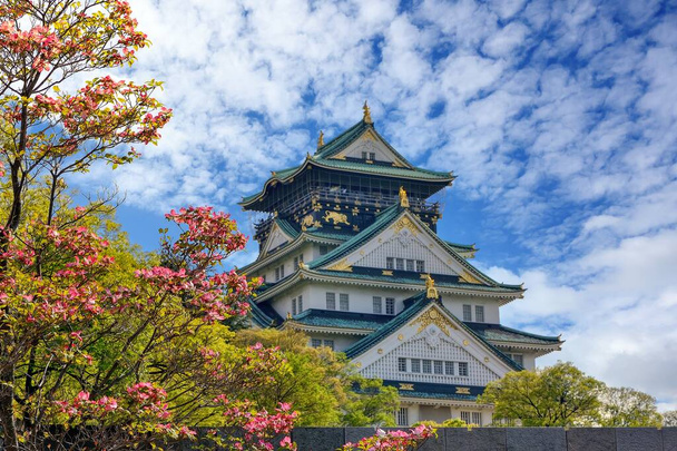 Puutarhassa on vaaleanpunaisia kukkia täydessä kukassa kirkkaana päivänä kesällä. Taustalla on Osakan linna keskellä Osakan kaupunkia, Japanissa. - Valokuva, kuva