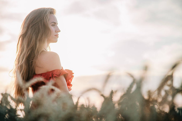 Beautiful girl in red dress and striped hat posing in a wheat field - Φωτογραφία, εικόνα