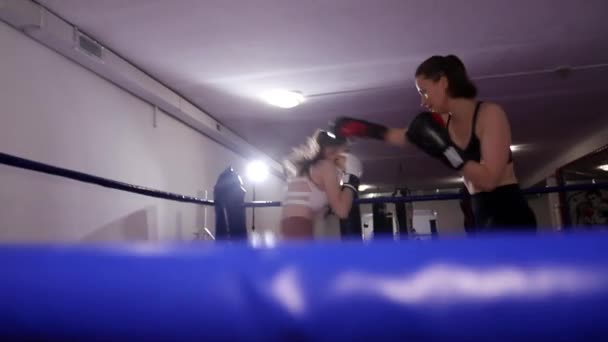 Due pugili donne che combattono sul ring. - Filmati, video