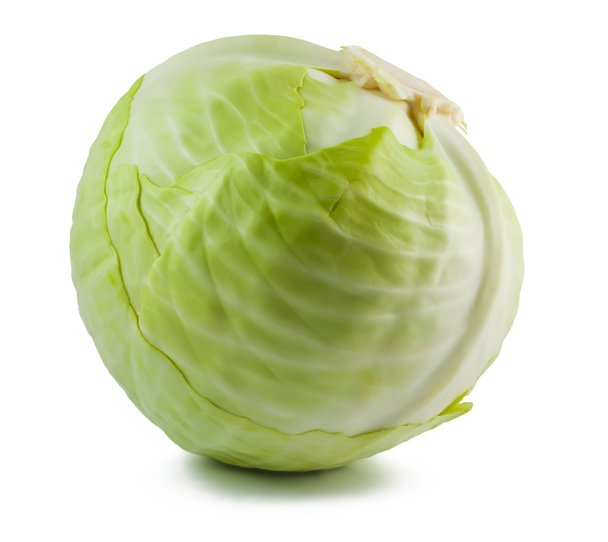 Cabbage on white - Fotó, kép