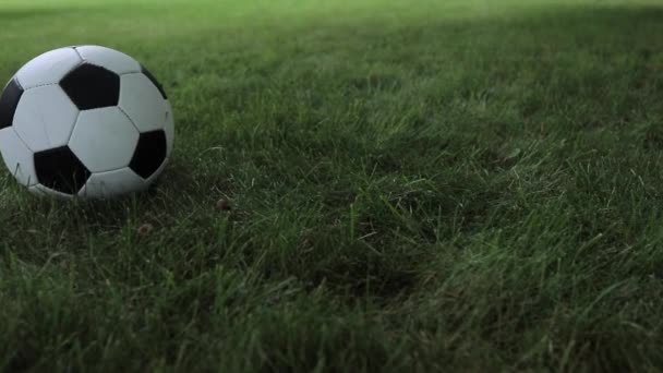 Soccer football - Footage, Video