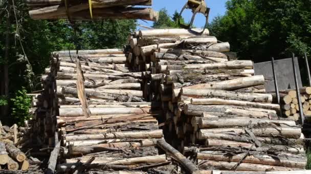 εργασίες μύλων ξυλείας διαδικασία - Πλάνα, βίντεο
