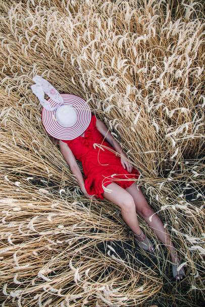 Beautiful girl in red dress and striped hat posing in a wheat field - Fotografie, Obrázek