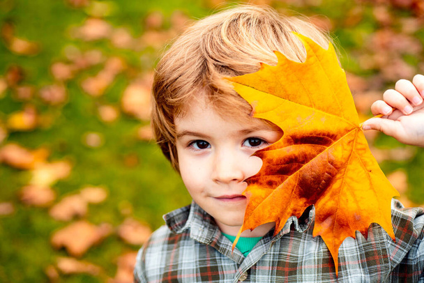 Autumn child, close up face. Autumn kids, lovely child playing in autumn park. - Foto, afbeelding