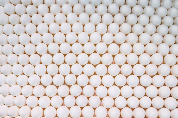 Contexte des œufs blancs de poulet en rangées - Photo, image