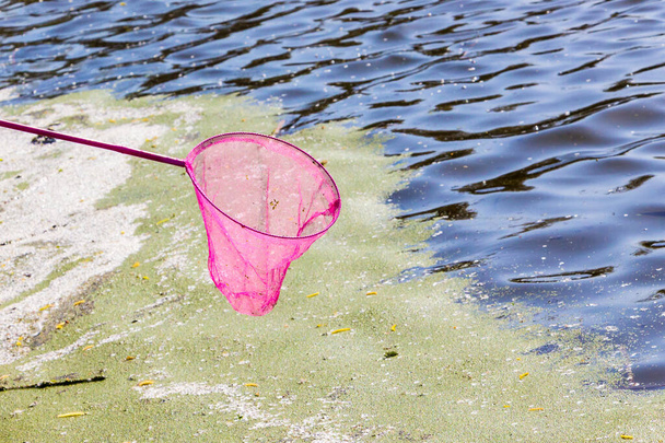 A pink butterfly net on a river background. Investigation of plant and animal life of reservoirs - Photo, Image