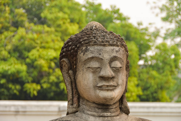 Buddha head with green background - Photo, Image