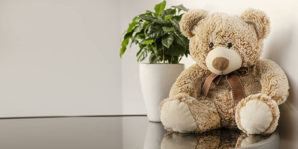 Teddy bear soft toy sits at a black glossy table, reflection. Light interior background, white walls. Flower in a flowerpot. - Valokuva, kuva