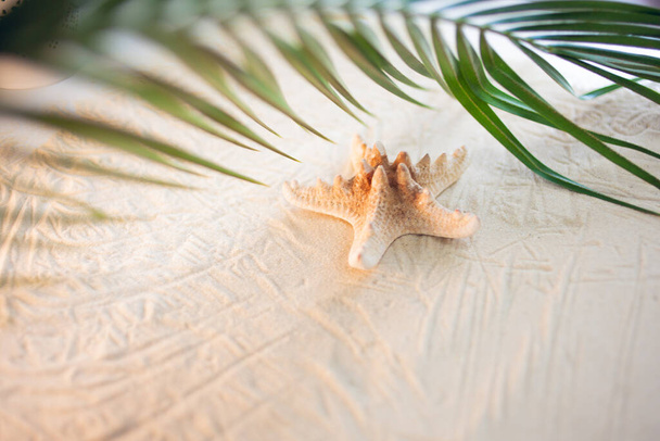 Tropical beach A green palm leaf, and lonely starfish, lie on white fine sand. Desktop wallpaper. - Fotó, kép