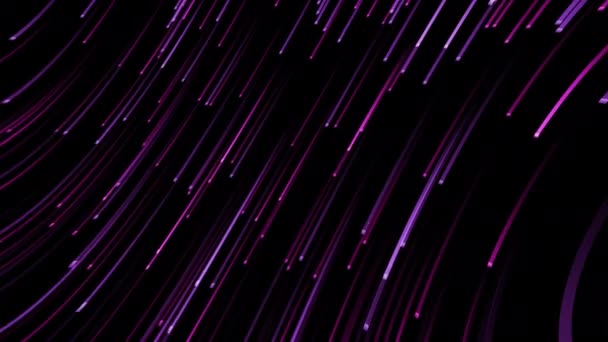Spadające kolorowe neonowe fioletowe wiązki linii animacji na czarnym tle. 4K płynna pętla. Błyszczące i świecące jasne fioletowe cząstki laserowe dla technologii komunikacji futurystyczne tło koncepcji. - Materiał filmowy, wideo