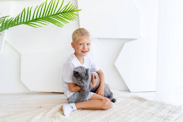 un niño pequeño está sentado en una habitación luminosa con un gato, el concepto de amistad entre un niño y un animal - Foto, Imagen