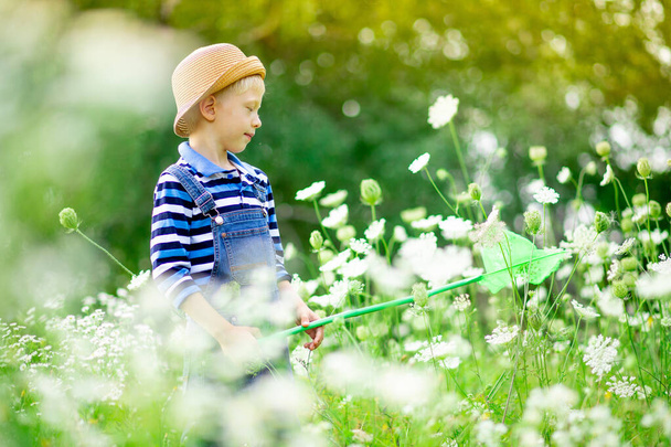 a happy boy in a hat walks through a field with flowers and catches butterflies with a net, happy childhood, children's lifestyle - Foto, imagen
