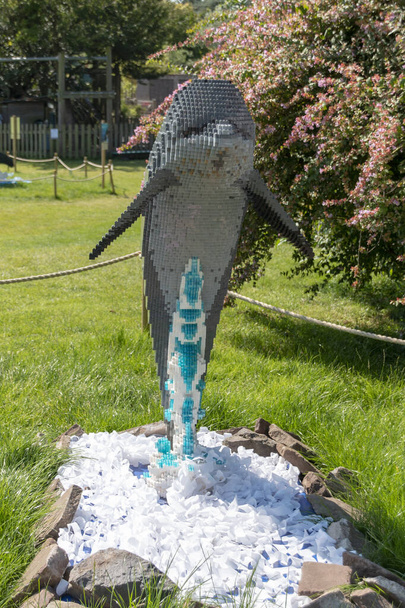 Bristol-August-2020-England- A dolphan made out of lego on display at the Bristol Zoo  - Photo, Image