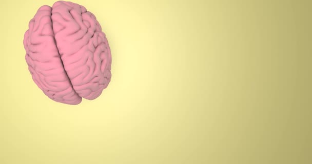 Różowy ludzki model mózgu 3d części inteligencja anatomia animacja 3d - Materiał filmowy, wideo