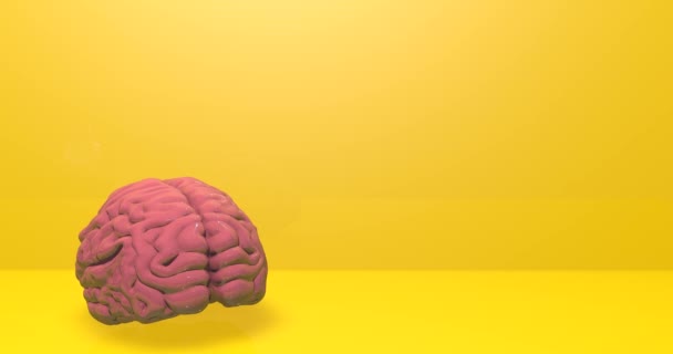 Różowy ludzki model mózgu 3d części obracające inteligencję anatomia animacja 3d - Materiał filmowy, wideo