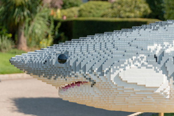 Bristol-agosto-2020-Inglaterra - Un gran tiburón blanco hecho de lego en exhibición en el zoológico de Bristol  - Foto, imagen