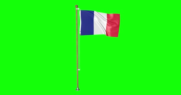 Zöld képernyő hiper reális hurok zászló Franciaország zászlórúd integetett a szél francia zászló lengő animáció 3d 4k - Felvétel, videó