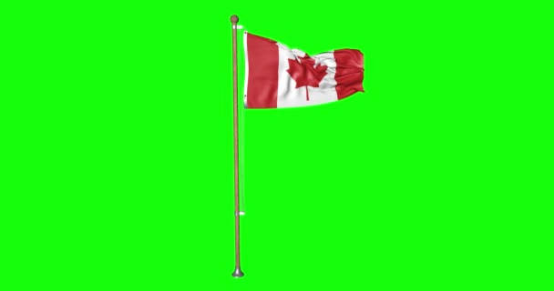Зеленый экран хипстерского реалистического флага Канады с флагштоком, развевающимся на ветру канадского флага в анимации 3d 4k - Кадры, видео
