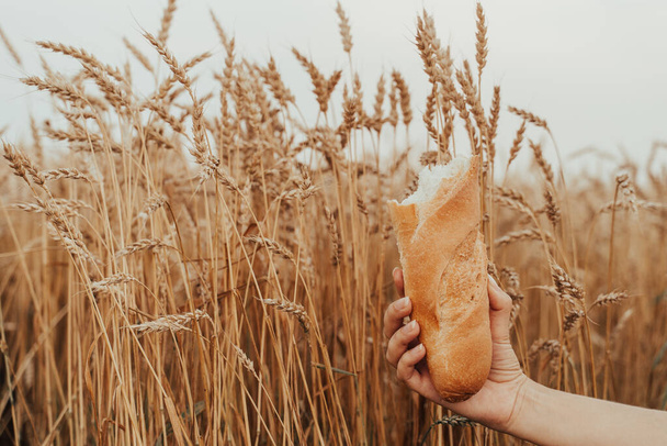 Μια διαφήμιση για γαλλικό ψωμάκι. Το κορίτσι κρατάει καρβέλι σε φόντο σιταριού. Τραγανό ψωμί - Φωτογραφία, εικόνα