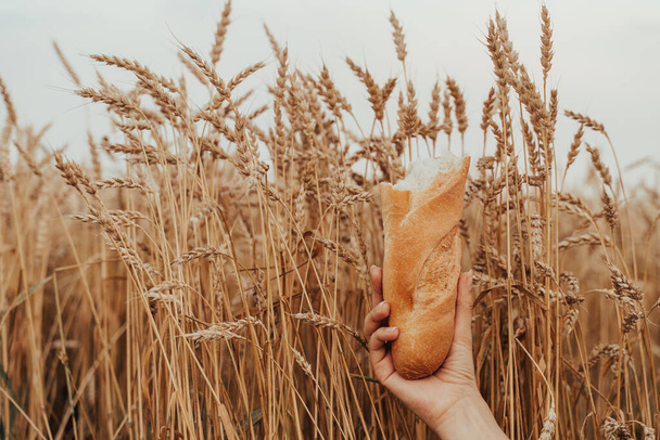 Une publicité pour un petit pain français. La fille tient du pain sur fond de blé. Pain croustillant - Photo, image