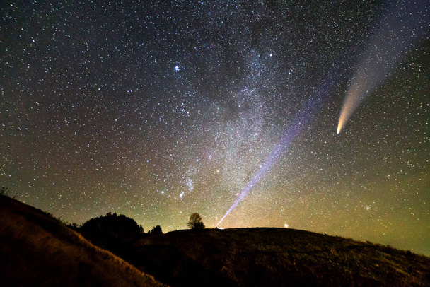 Pieni siluetti tiedemies taskulamppu hänen päänsä osoittaa kirkas valonsäde tähtitaivaalla C / 2020 F3 (NEOWISE) komeetta kevyt häntä. Avaruustutkimuksen käsite. - Valokuva, kuva