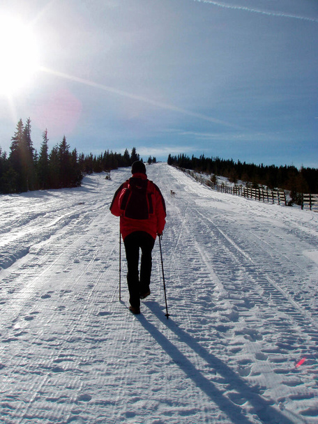 persoon met skistokken die een wandeling maken in een winterlandschap, zonnige dag, blauwe lucht - Foto, afbeelding