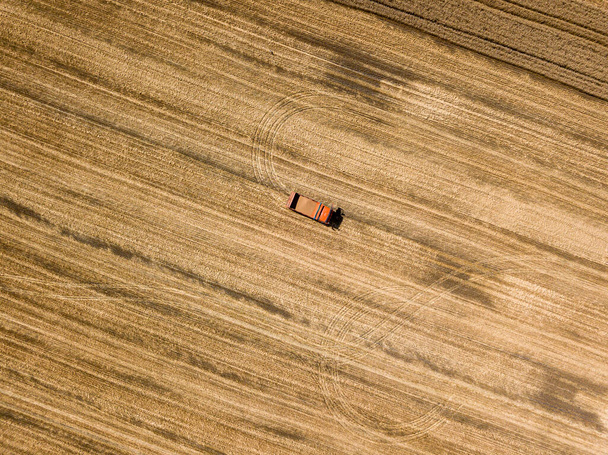 Veduta aerea del drone. Camion con grano in un campo di grano maturo in Ucraina. - Foto, immagini