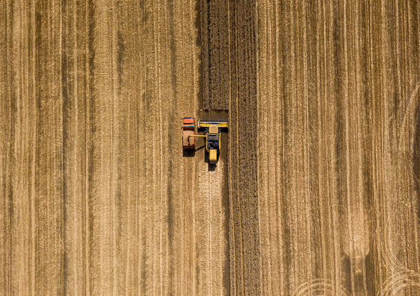 Aerila Drohnen Ansicht. Der Mähdrescher gießt die Weizenernte in den LKW. - Foto, Bild