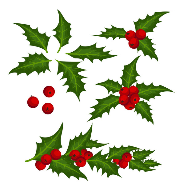 Christmas elements with set of holly leaves and red berries isolated on white background. Design for winter holidays greeting season. Vector illustration. - Vector, Image