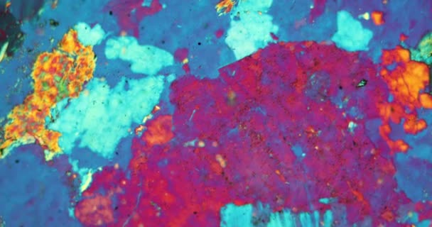 Гнейсский тонкий сечение камня под микроскопом в поляризованном свете - Кадры, видео