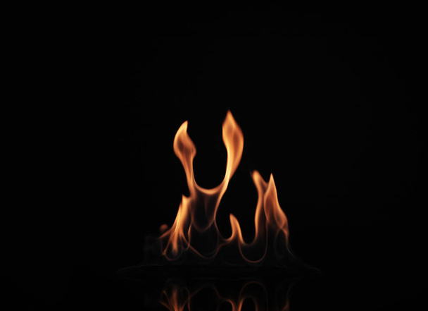 Beautiful bright fire flames on black background - Photo, image