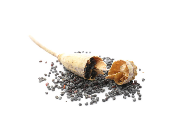 Dried poppyhead and seeds on white background - Foto, Imagem