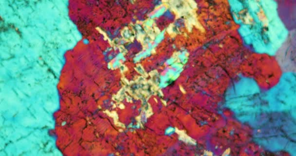 Piedra de granito cortada bajo el microscopio en luz polarizada - Metraje, vídeo