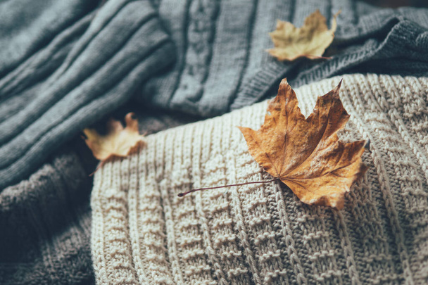 Warm winter sweaters with dry leaves top view - 写真・画像